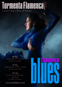 flamenco blues V2US cmyk